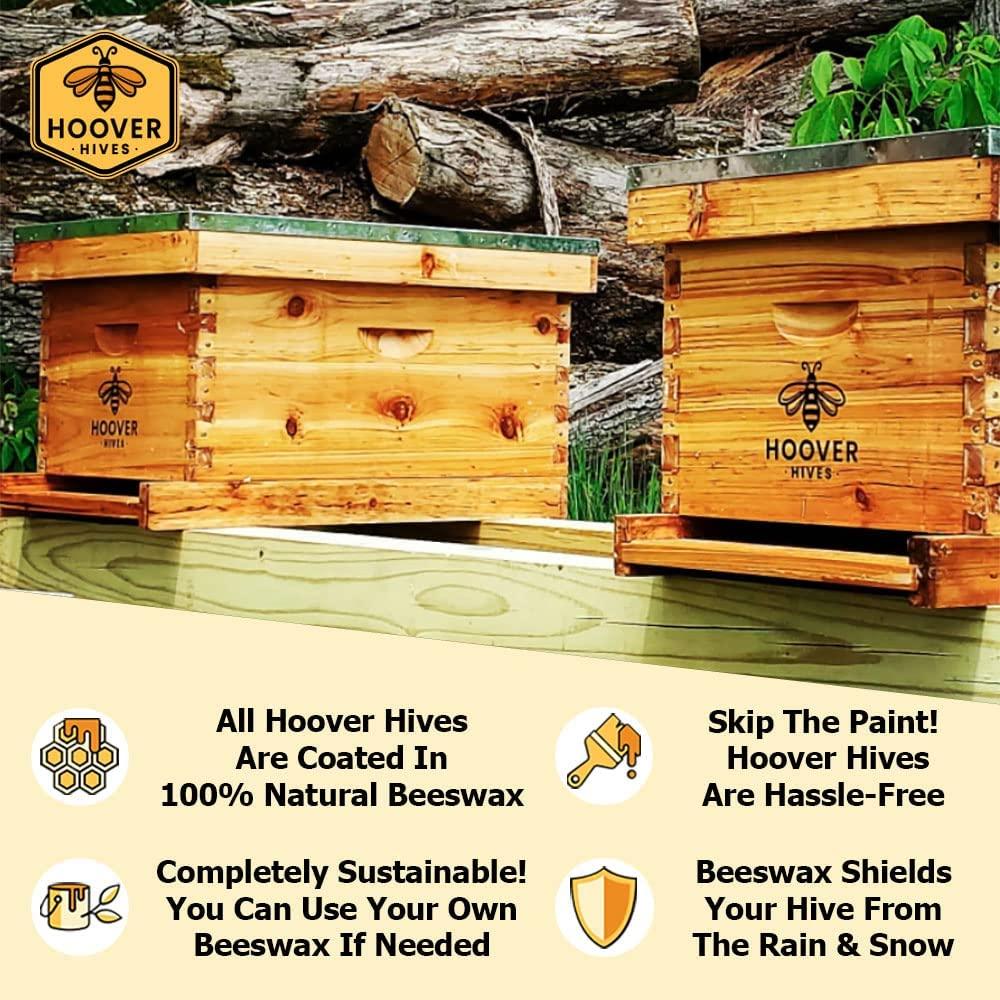 Hoover Hives 8 Frame Langstroth Beehive Dipped in Beeswax Includes Wooden Frames & Waxed Foundations (2 Deep Boxes, 1 Medium Box)(Fully Assembled)