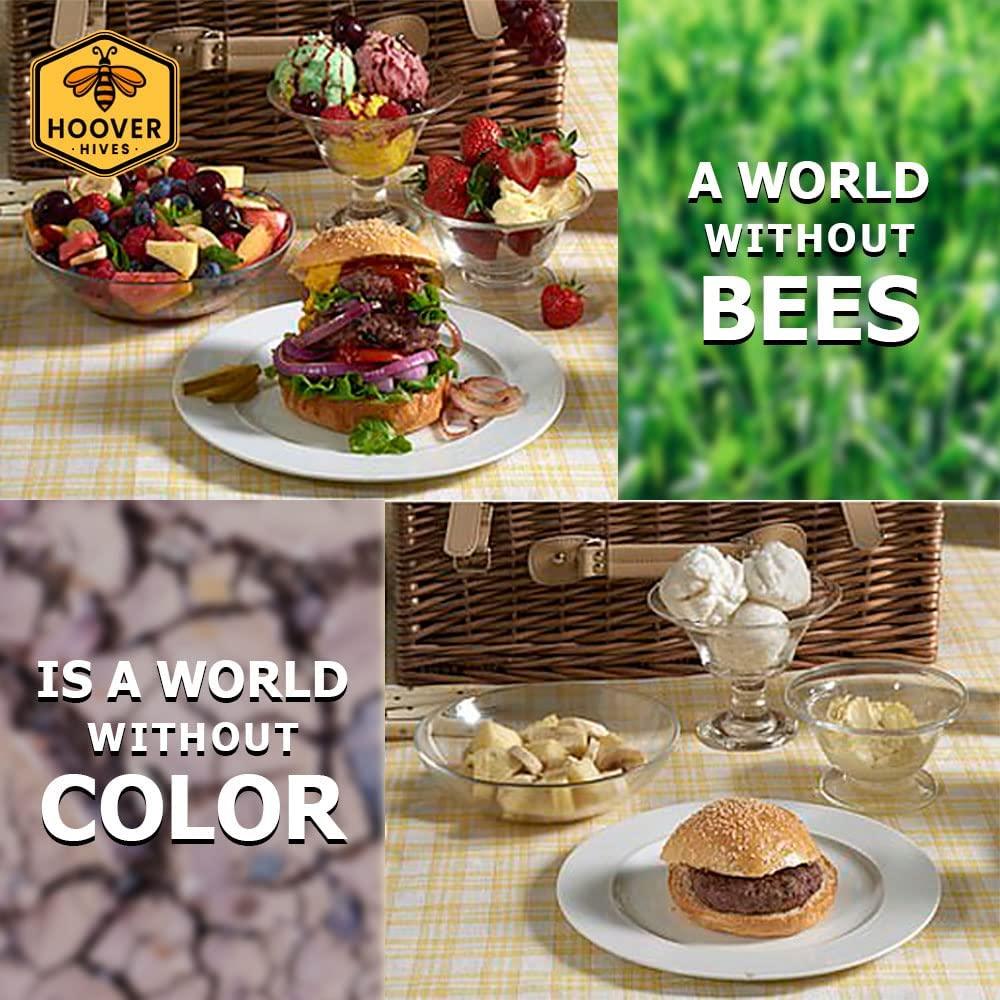 Hoover Hives 10 Frame Langstroth Beehive Dipped in Beeswax Includes Wooden Frames & Waxed Foundations (2 Deep Boxes, 1 Medium Box)(Fully Assembled)