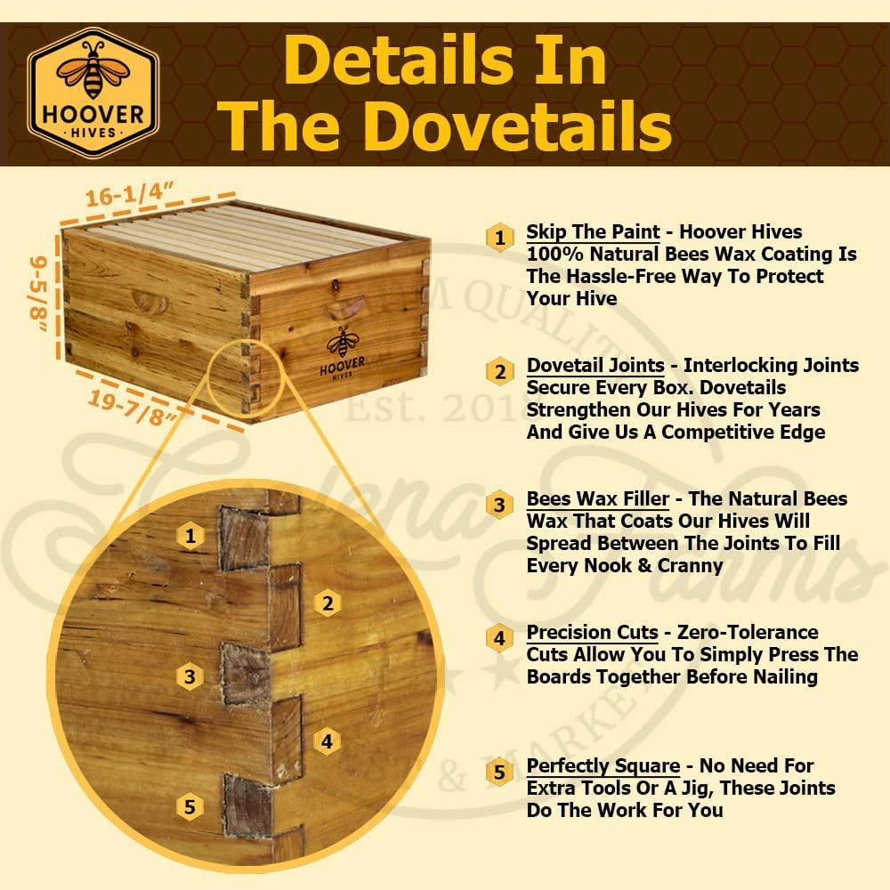 Hoover Hives 10 Frame Langstroth Beehive Dipped in Beeswax Includes Wooden Frames & Waxed Foundations (2 Deep Boxes, 1 Medium Box)(Fully Assembled)
