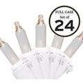 er Series 100-Light Clear With White Wire Mini Light Set (Set of 24)