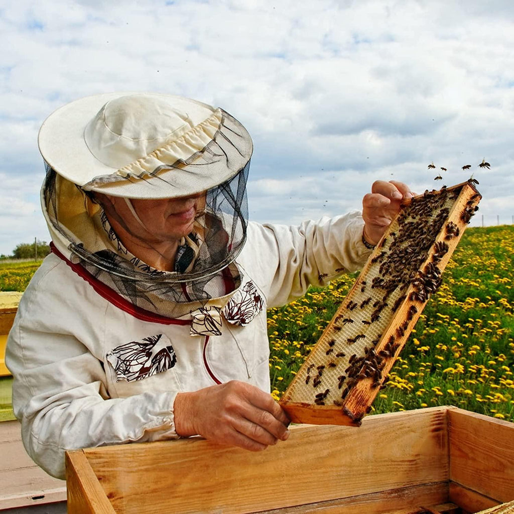 Bee Hive Complete Beehive Kit, Daxiga 10 Frame Beeswax Coated Bee Hive Includes Frames and Beeswax Coated Foundation Sheet (2 Layer)