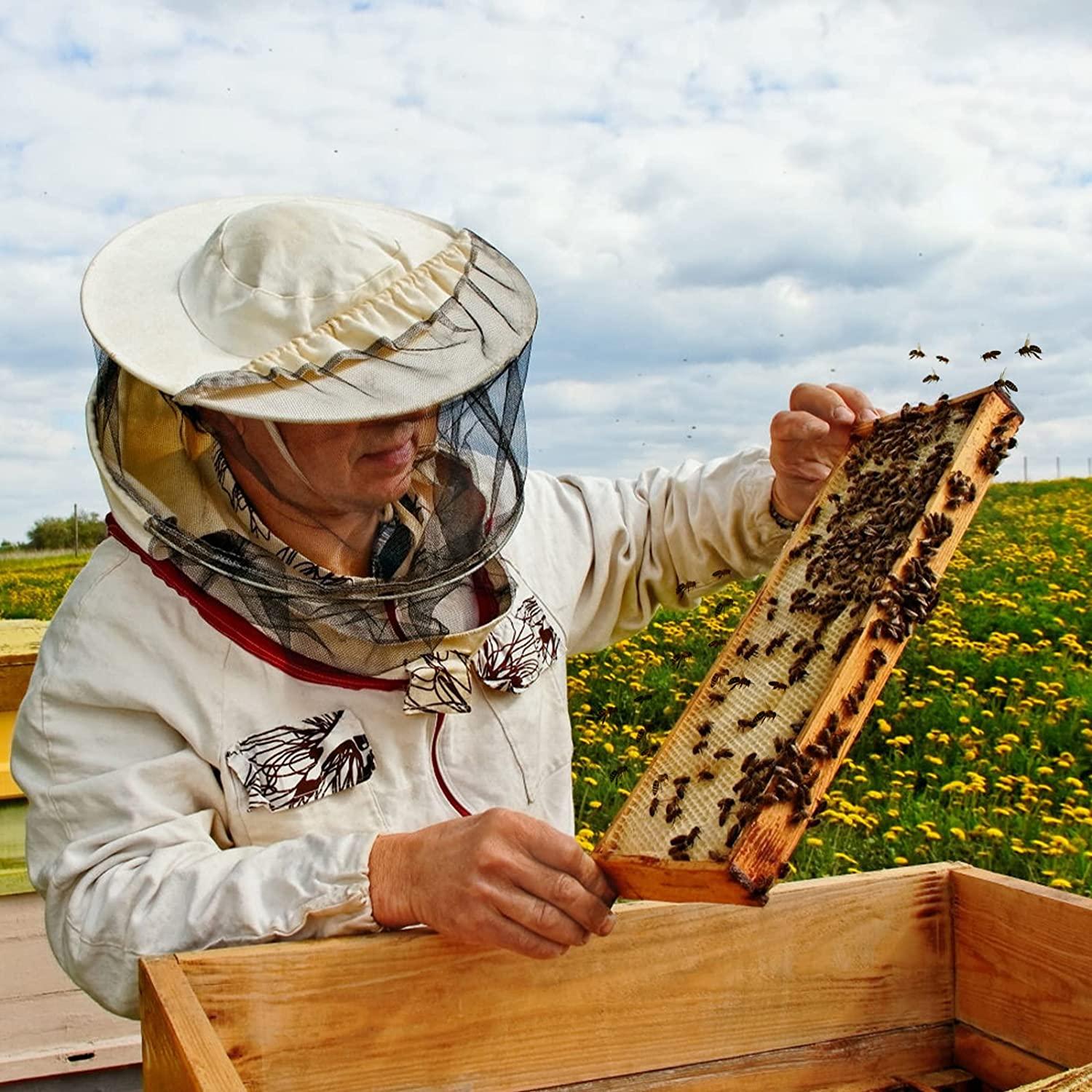 Bee Hive Complete Beehive Kit, Daxiga 10 Frame Beeswax Coated Bee Hive Includes Frames and Beeswax Coated Foundation Sheet (2 Layer)
