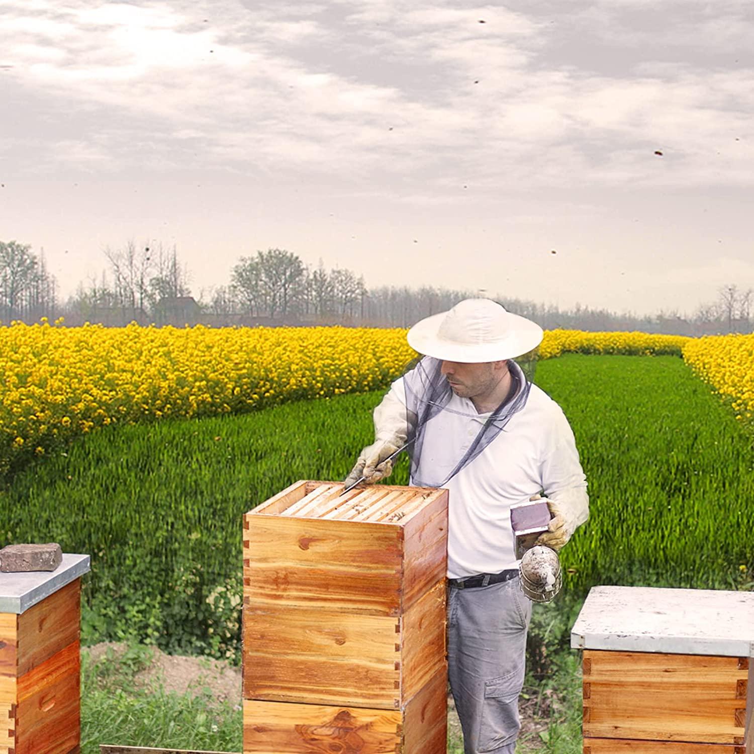 Bee Hive Complete Beehive Kit, Daxiga 10 Frame Beeswax Coated Bee Hive Includes Frames and Beeswax Coated Foundation Sheet (2 Layer)