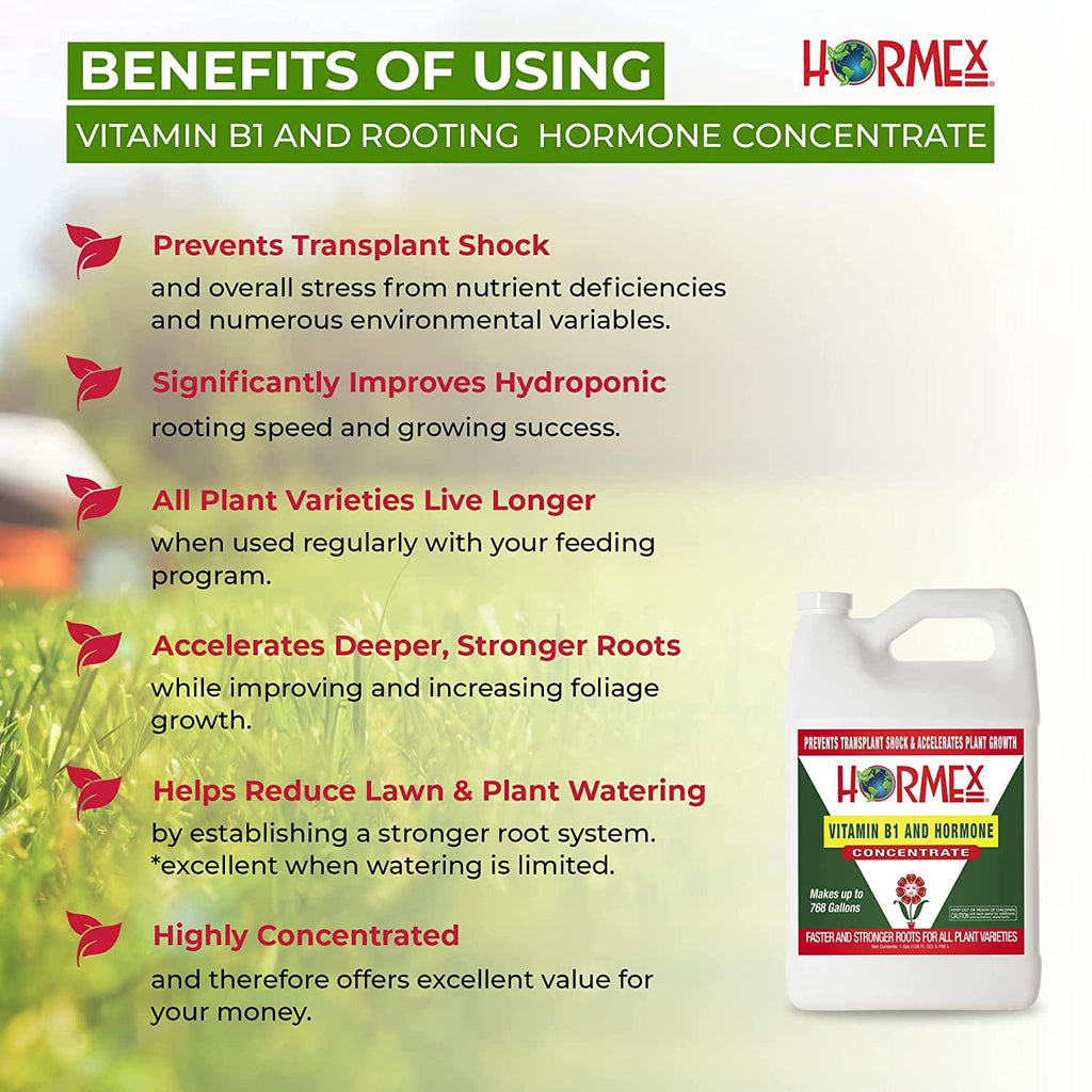 Hormex Vitamin B1 Rooting Hormone Concentrate | Prevents Transplant Shock | Accelerates Growth | Stimulates Roots | for All Plant Varieties and Grow Mediums Including Hydroponics (128 oz)