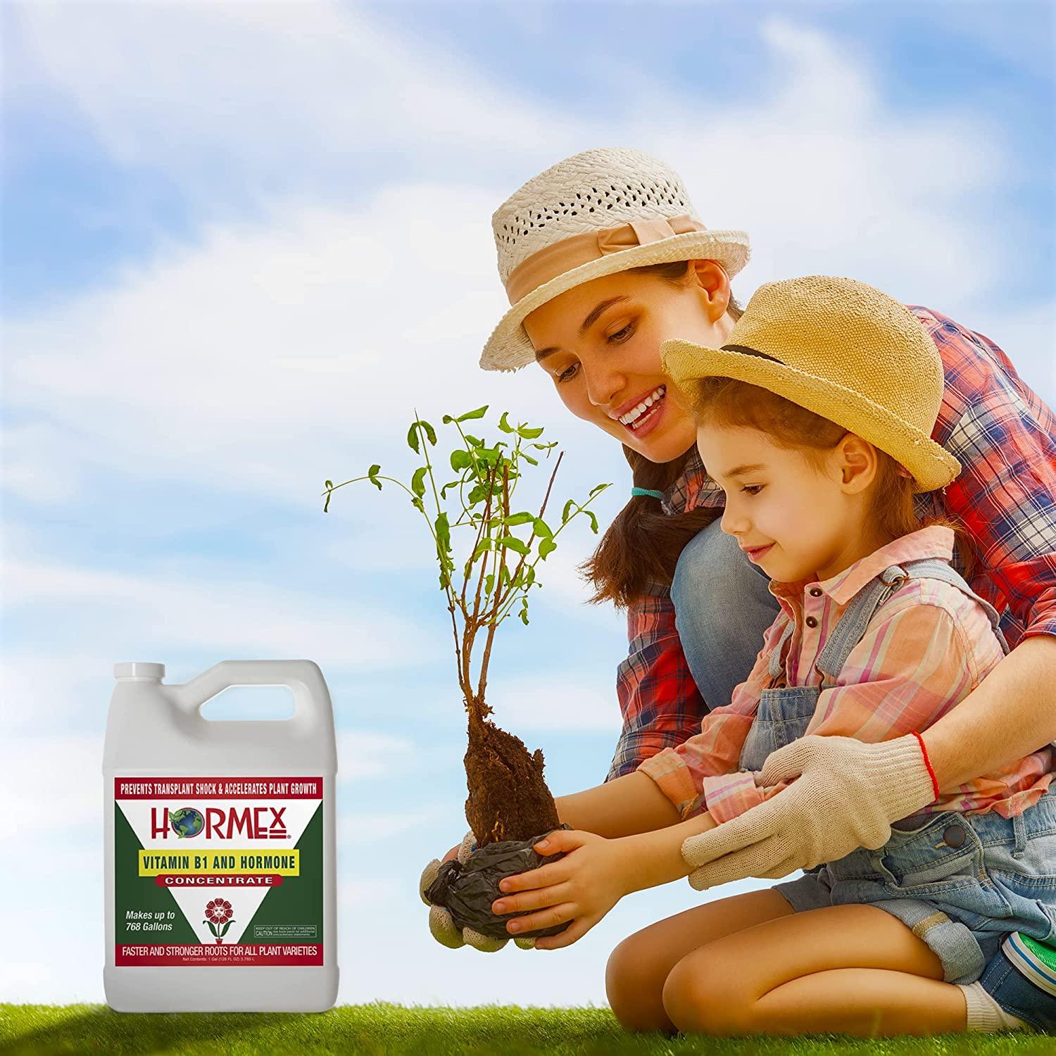 Hormex Vitamin B1 Rooting Hormone Concentrate | Prevents Transplant Shock | Accelerates Growth | Stimulates Roots | for All Plant Varieties and Grow Mediums Including Hydroponics (128 oz)