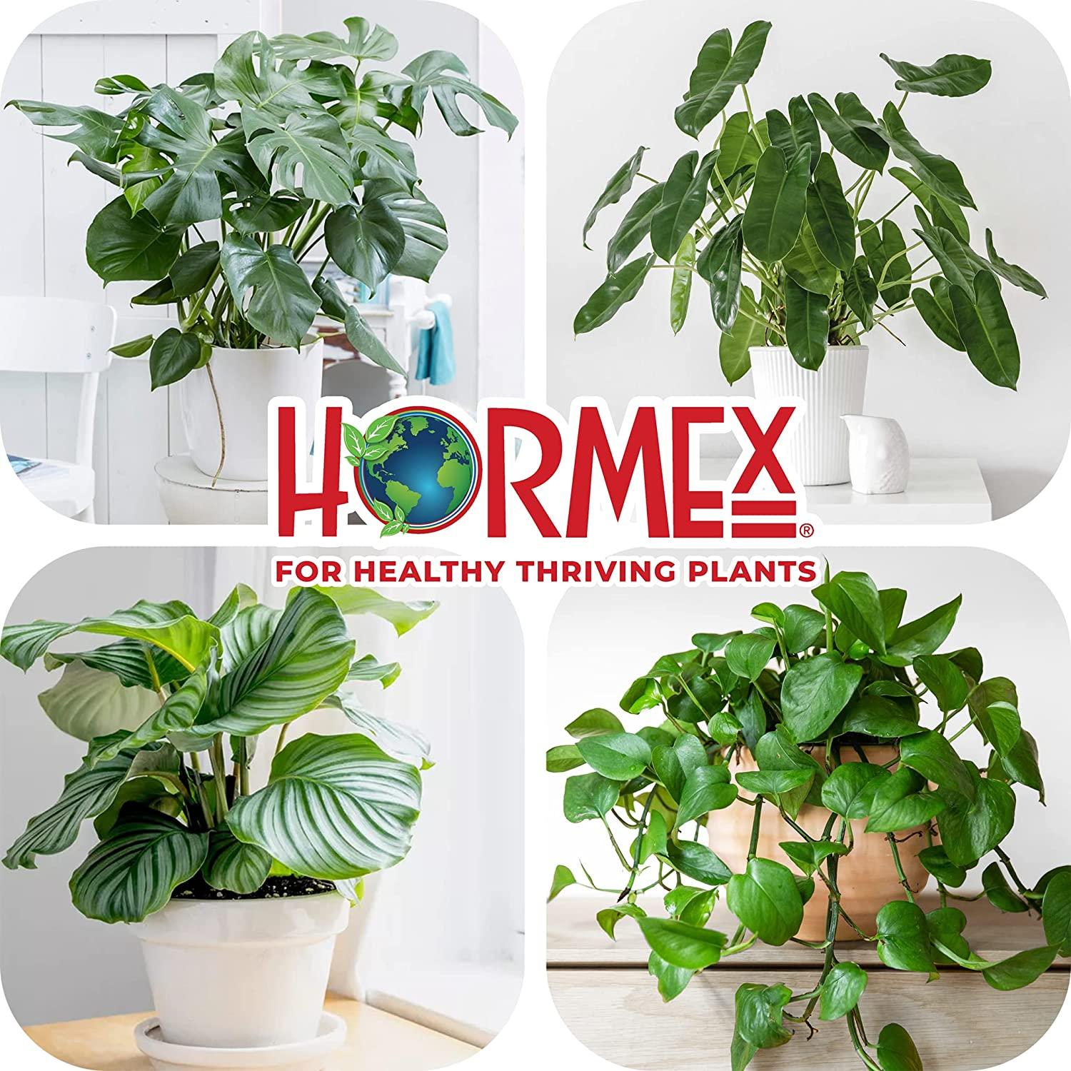 Hormex Vitamin B1 Rooting Hormone Concentrate | Prevents Transplant Shock | Accelerates Growth | Stimulates Roots | for All Plant Varieties and Grow Mediums Including Hydroponics (128 oz)