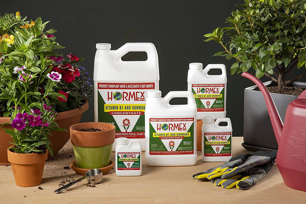 Hormex Vitamin B1 Rooting Hormone Concentrate | Prevents Transplant Shock | Accelerates Growth | Stimulates Roots | for All Plant Varieties and Grow Mediums Including Hydroponics (128 oz)