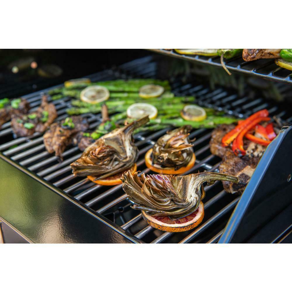 Propane Gas Grill 2-Burner In Black