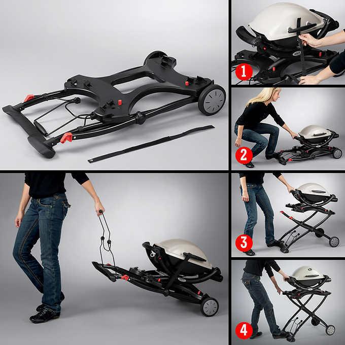 Q2200 with Adapter Hose and Cart