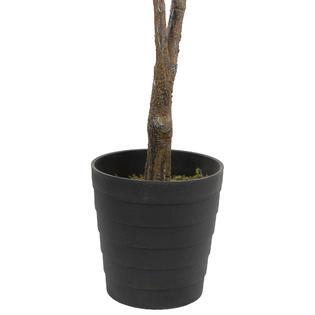 Northlight 6.5' Potted Two Tone Apple Artificial Christmas Tree - Unlit