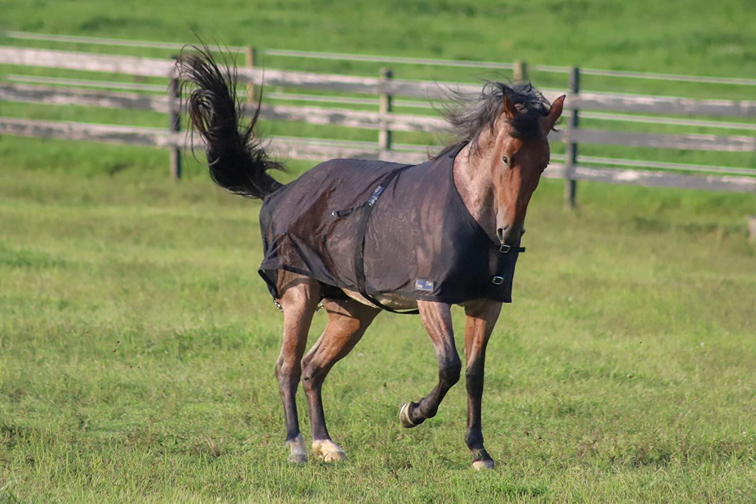 BENETherapeutic Mesh Sheet | Far-Infrared Therapy | Better Performance & Recovery