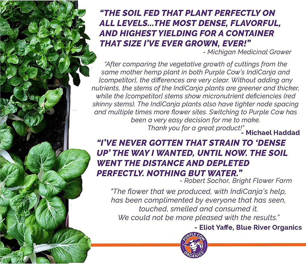 Purple Cow Organics IndiCanja Naturally Organic Living Plant Based Compost Soil for Increased Plant Health and Biodiversity, 1 Cubic Foot Bag (4 Pack)