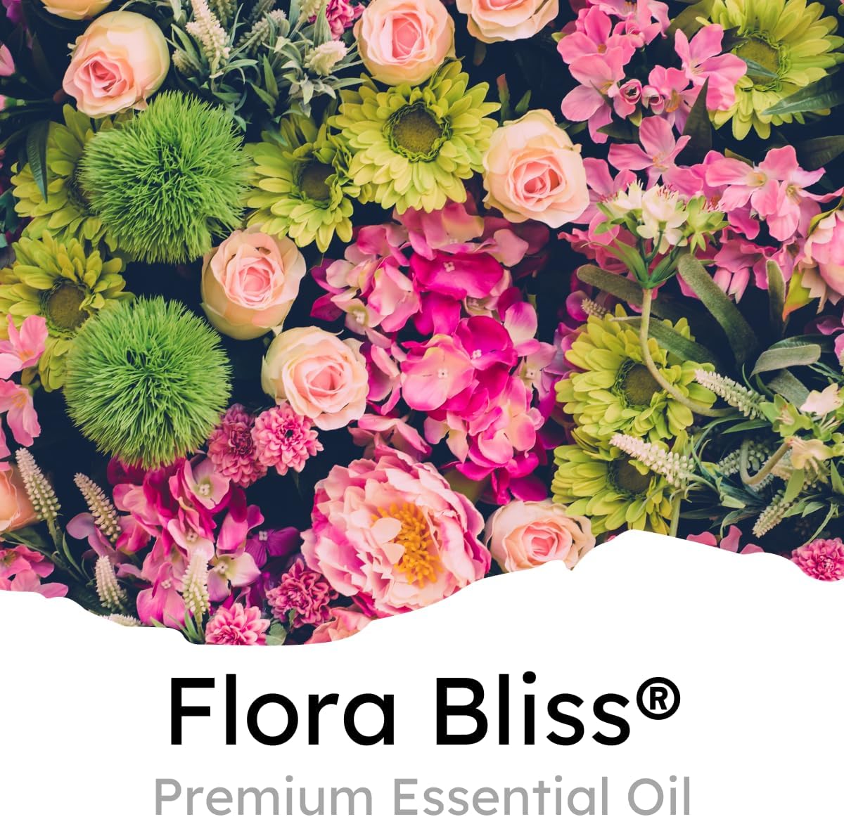 Air Jungles Flora Bliss Scent Car Air Freshener Clip, 6 Car Freshener Vent Clips, 4ml Each, Long Lasting , Up to 180 Days Car Refresher Odor Eliminator