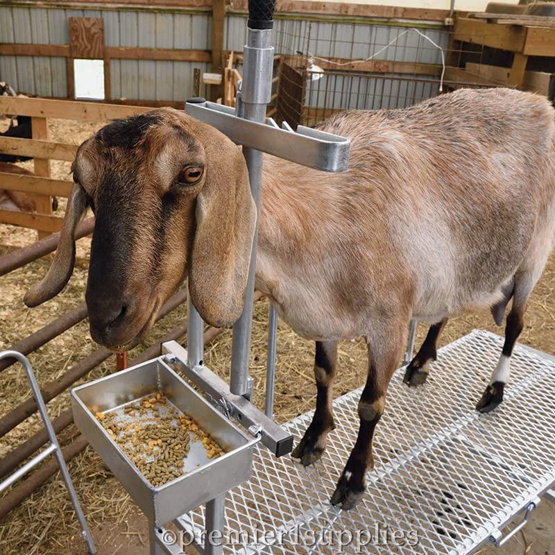 Premier MilStand for Goats & Sheep