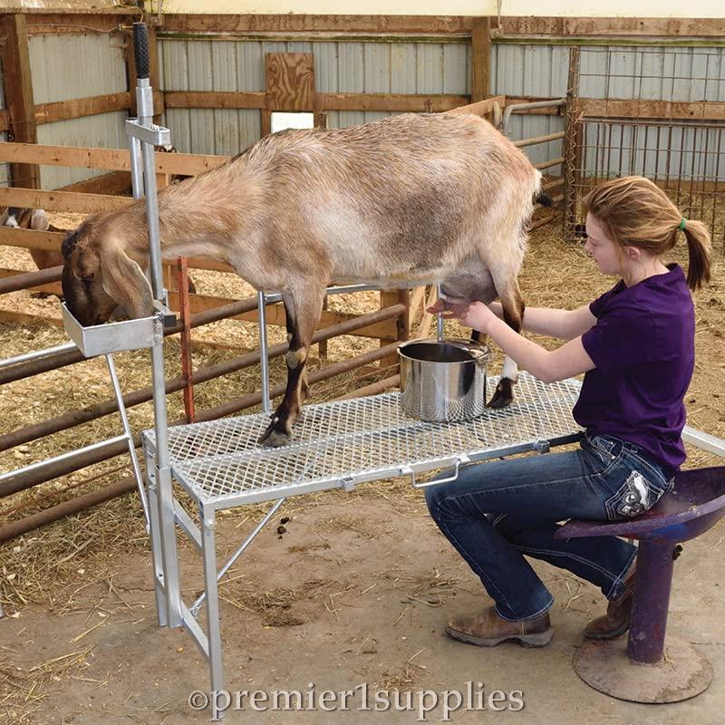 Premier MilStand for Goats & Sheep