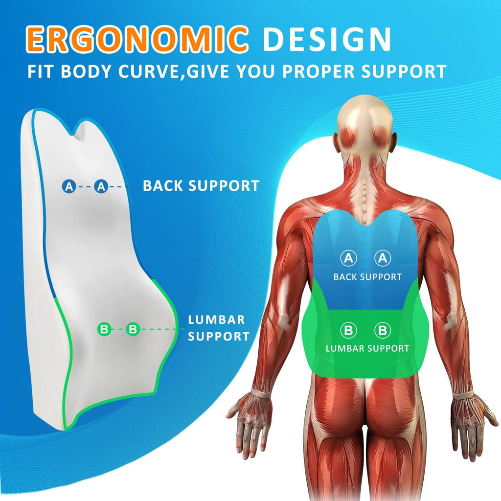 Lumbar Support Pillow for Car-Memory Foam Car Back Support for Driving Fatigue/Back Pain Relief - Dual Straps Better Fix The Back Support for Car -Gray