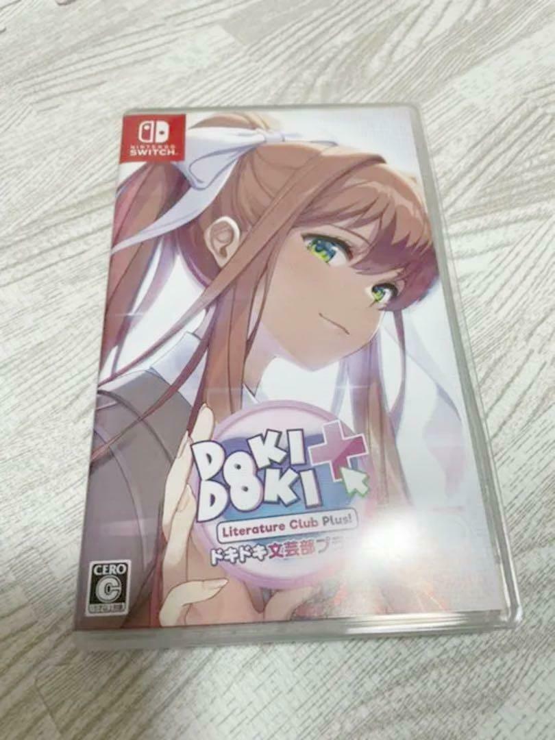 Pounding Literary Club Switch Regular Version