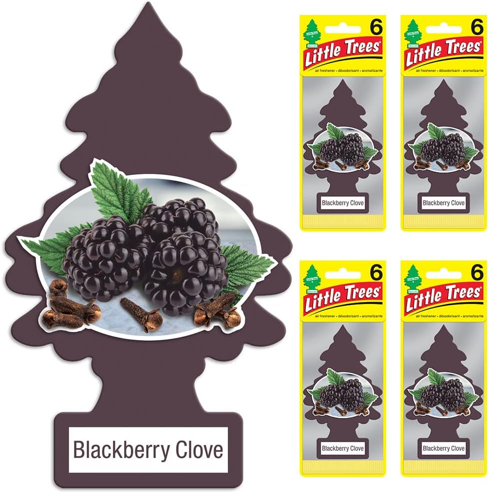 LITTLE TREES Air Fresheners Car Air Freshener. Hanging Tree Provides Long Lasting Scent for Auto or Home. Blackberry Clove, 24 Air Fresheners
