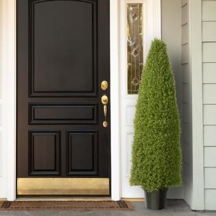 National Tree 60" Tall Artificial Green BoxTopiary Tree with Round Pot
