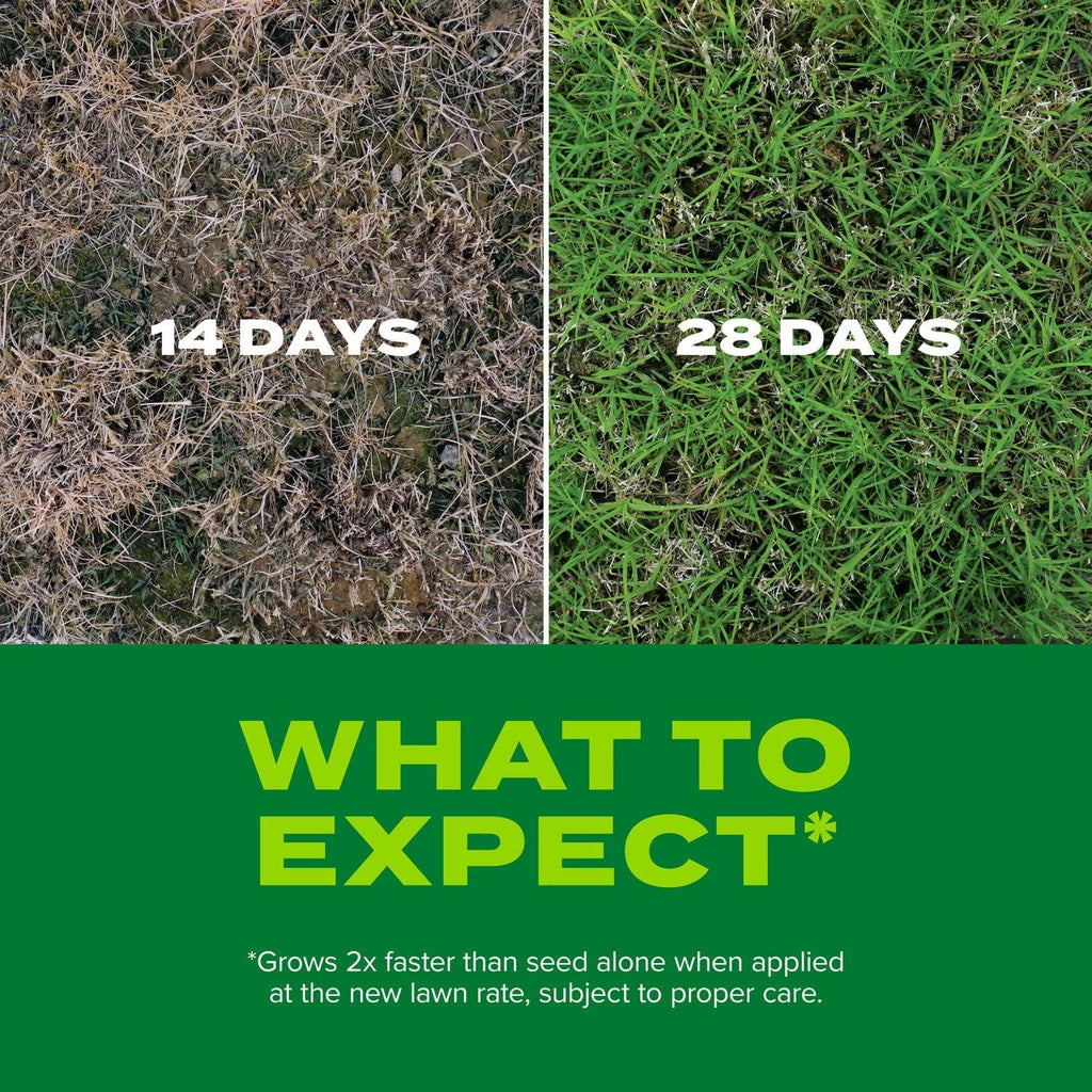 Scotts Turf Builder Rapid Grass Bermudagrass - Combination Seed and Fertilizer, 8 lbs., Covers Up to 10,000 sq. ft.