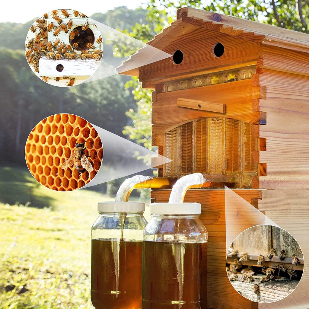 Auto Flow Beehive,Wooden Beekeeping House Beehive Boxes with 7 PCS Auto Bee Hive Frame,Automatic Wooden Bee Hive House Kit,Food Grade BPA  (Beehive Frame+Wooden Box)