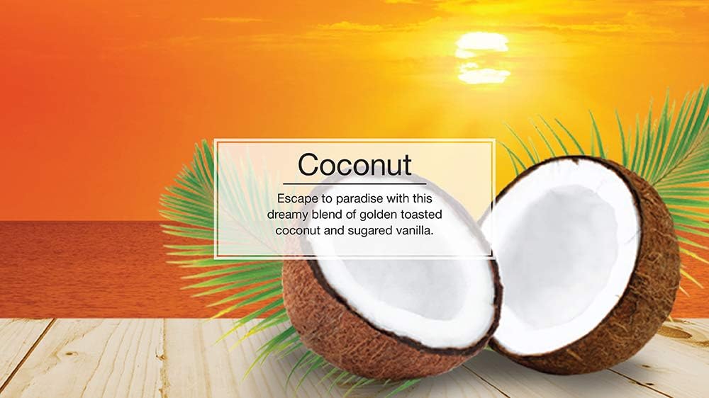 LITTLE TREES Air Fresheners Car Air Freshener. Hanging Tree Provides Long Lasting Scent for Auto or Home. Coconut, 24 Air Fresheners