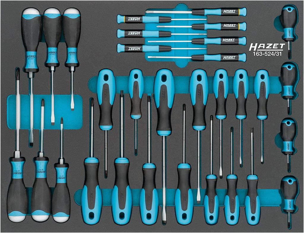 Hazet 163-524/31 Screwdriver Set 31 Pieces Slotted Profile PH Internal Torx Profile