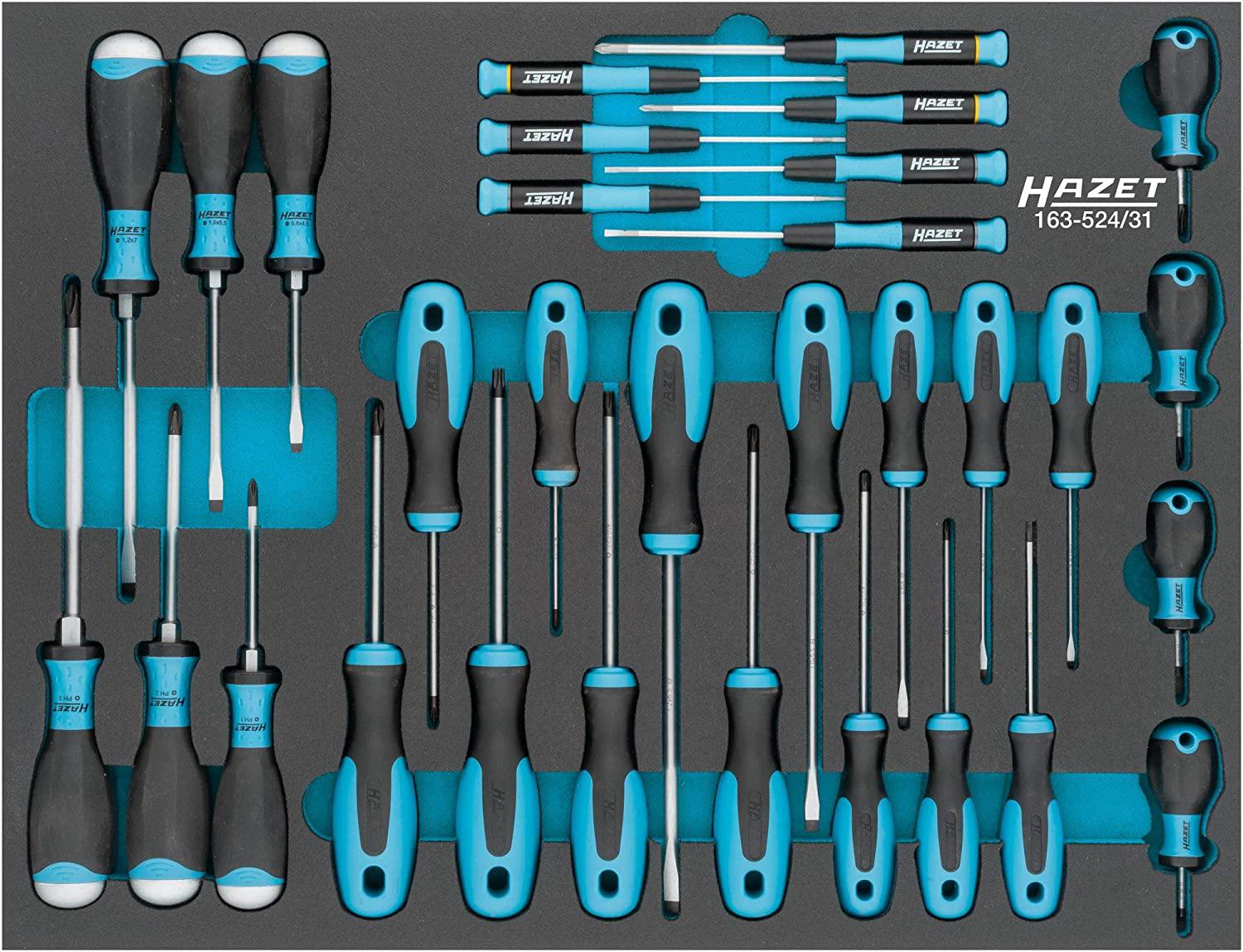Hazet 163-524/31 Screwdriver Set 31 Pieces Slotted Profile PH Internal Torx Profile