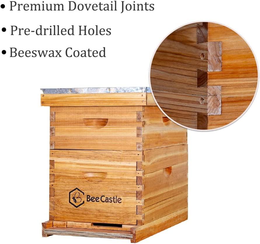8 Frame Bee Hive Complete Beehive Kit, Beeswax Coated Bee Hive Includes Frames and Beeswax Coated Foundation Sheet (2 Layer)
