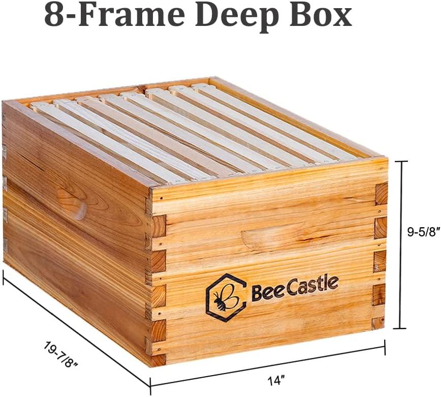 8 Frame Bee Hive Complete Beehive Kit, Beeswax Coated Bee Hive Includes Frames and Beeswax Coated Foundation Sheet (2 Layer)