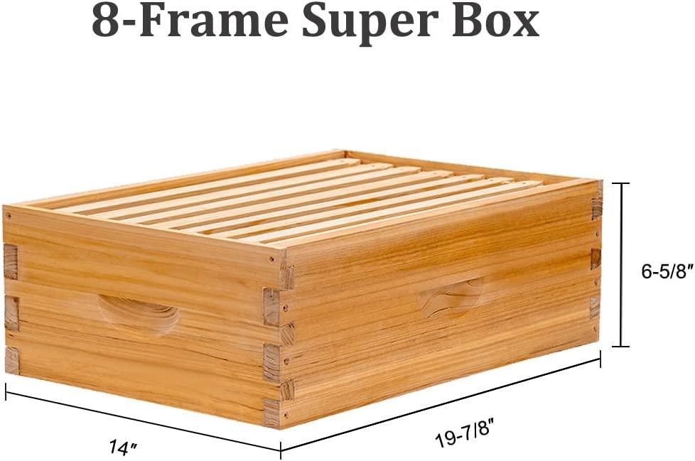 8 Frame Bee Hive Complete Beehive Kit, Beeswax Coated Bee Hive Includes Frames and Beeswax Coated Foundation Sheet (2 Layer)