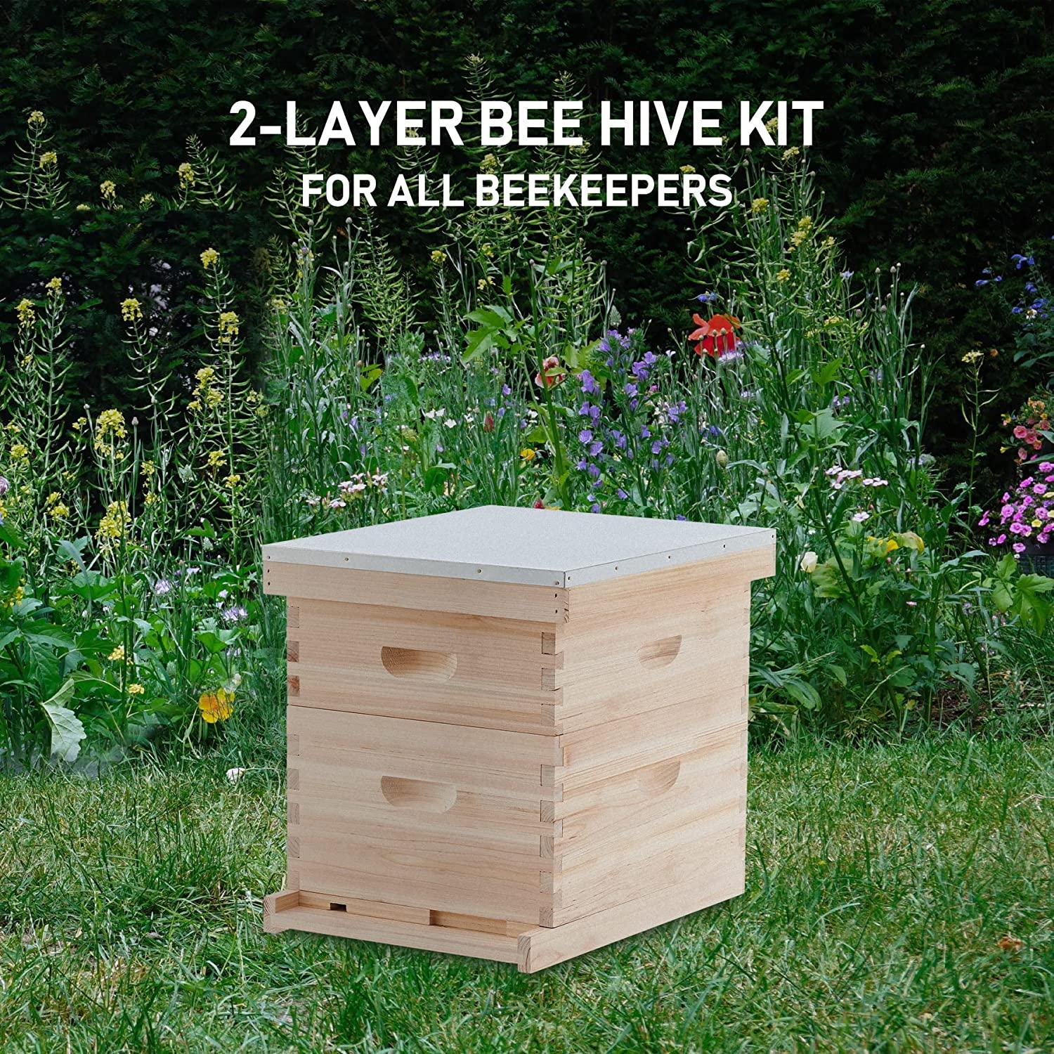 CREWORKS Bee Hive, Beehive Bee Box with 10 Medium &10 Deep Honeycomb Foundation Frames, Bee Keeping Supplies Starter Kit for Beginners, 2 Layer Langstroth Beehive Honey Bee House Bee Hives