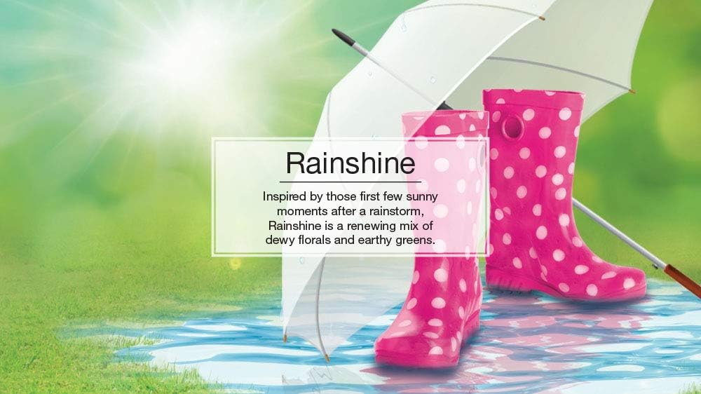 LITTLE TREES Air Fresheners Car Air Freshener. Hanging Tree Provides Long Lasting Scent for Auto or Home. Rainshine, 24 Air Fresheners