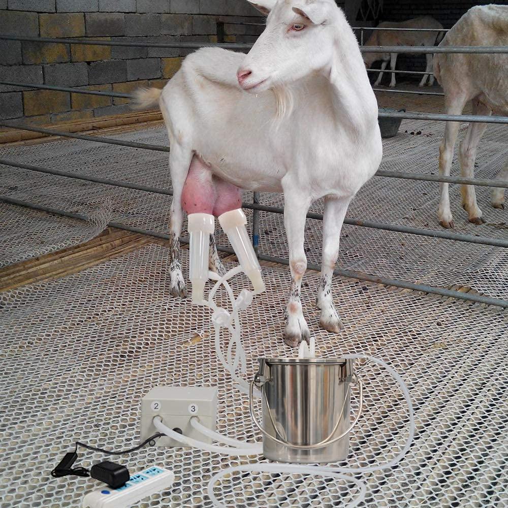 MAPOTAD 3L Goat Pulsation Vacuum Electric MilMachine, Automatic Portable Pulse Breast Pump with 2 Teat Cups  Steel Bucket for Goat.