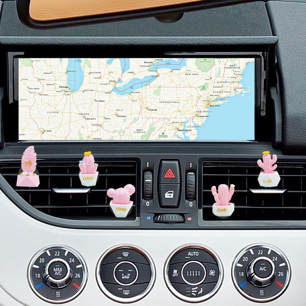 ZOSTLAND 5pcs Cute Car Air Vent Clip Decoration,Car Air Fresheners, Funny Car Vent Clip，Personalized Automotive Interior Decoration Accessories,Car Decor Gift for Women,Girl,Men (5pcs Cactus Pink)