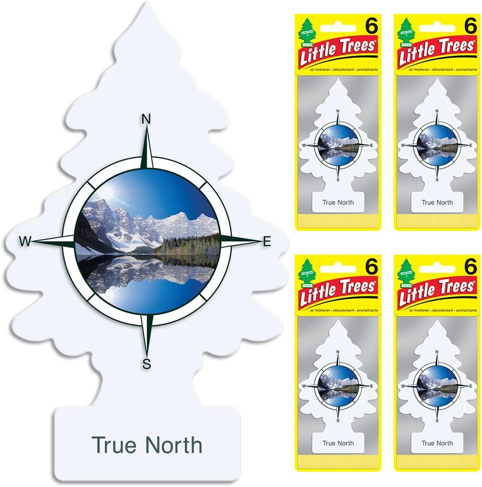 LITTLE TREES Air Fresheners Car Air Freshener. Hanging Tree Provides Long Lasting Scent for Auto or Home. True North, 24 Air Fresheners