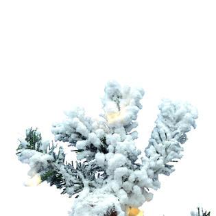 Vickerman 7' x 47" Flocked Spruce DuraLit LED400WW - A806271LED