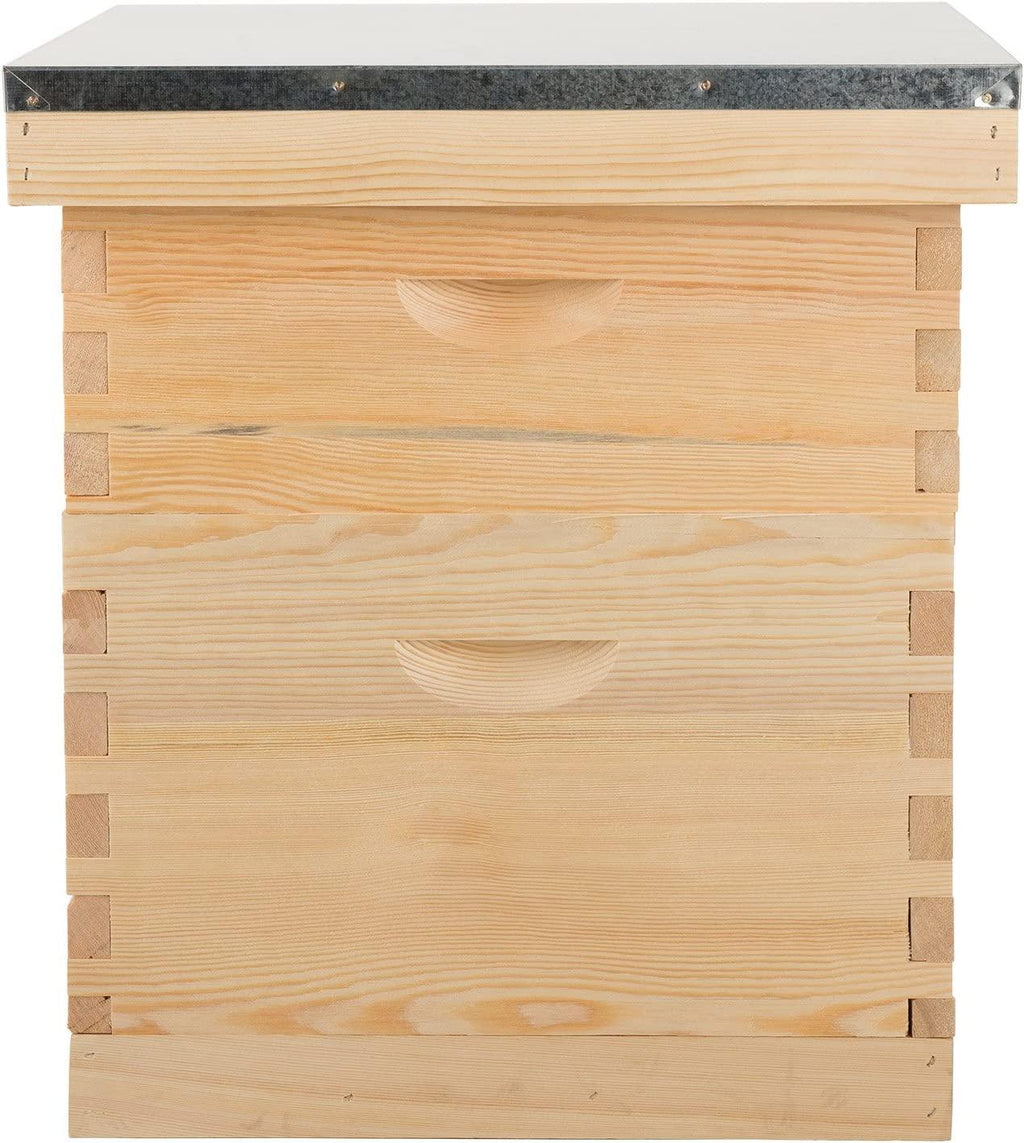 TERRADISE Bee Hive, 2 Layer Honey Bee Hives, Beekeeping Supplies Beehive Kit with 10 Medium 10 Deep Honeycomb Foundation Frames, Bee House Bee Boxes for Starter, Wood Complete Honey Beehives Kit