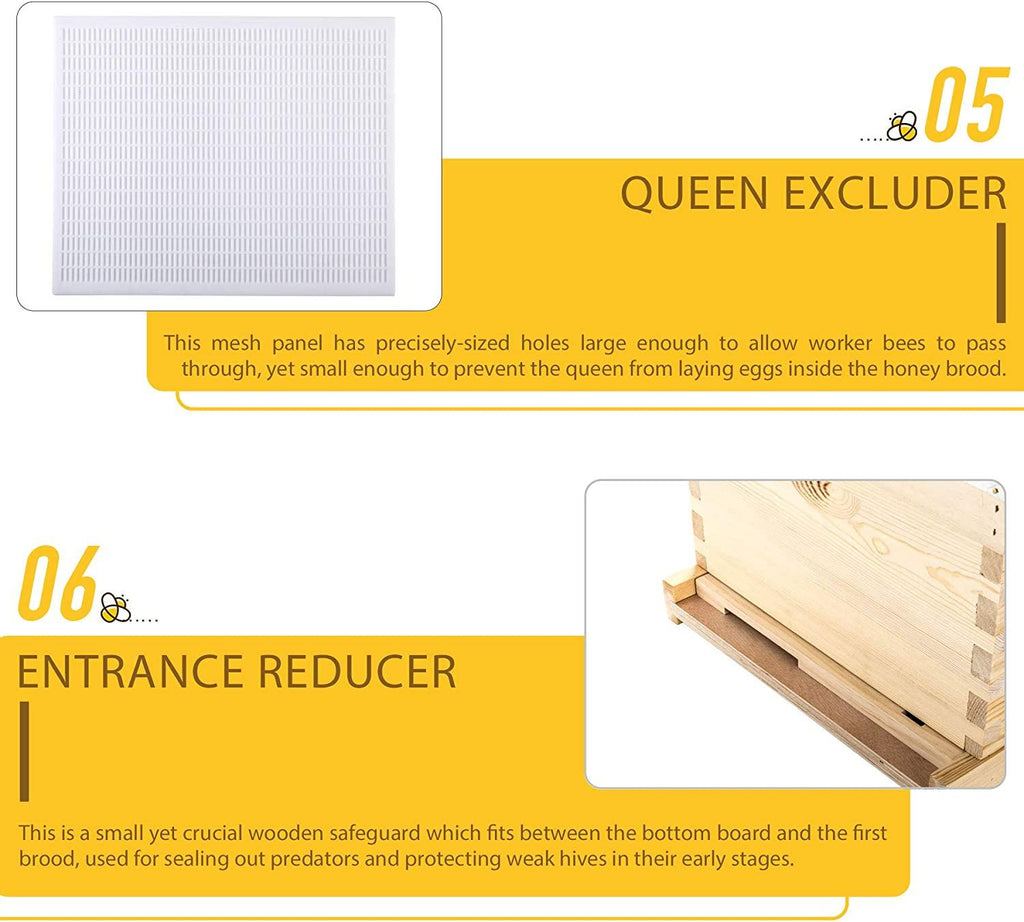 TERRADISE Bee Hive, 2 Layer Honey Bee Hives, Beekeeping Supplies Beehive Kit with 10 Medium 10 Deep Honeycomb Foundation Frames, Bee House Bee Boxes for Starter, Wood Complete Honey Beehives Kit
