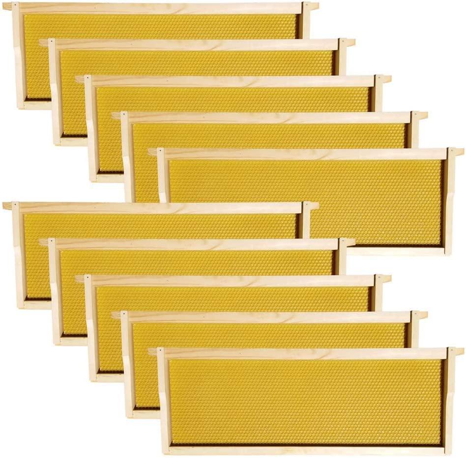 Amish Made in USA Starter Bee Hive Complete for Honey with Frames and Foundations 10 Frame