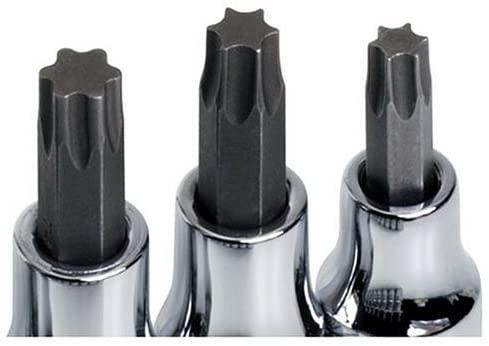 SK Hand Tools 84213 13-Piece 1/4-Inch, 3/8-Inch and 1/2-Inch Drive Torx Bit Socket Set
