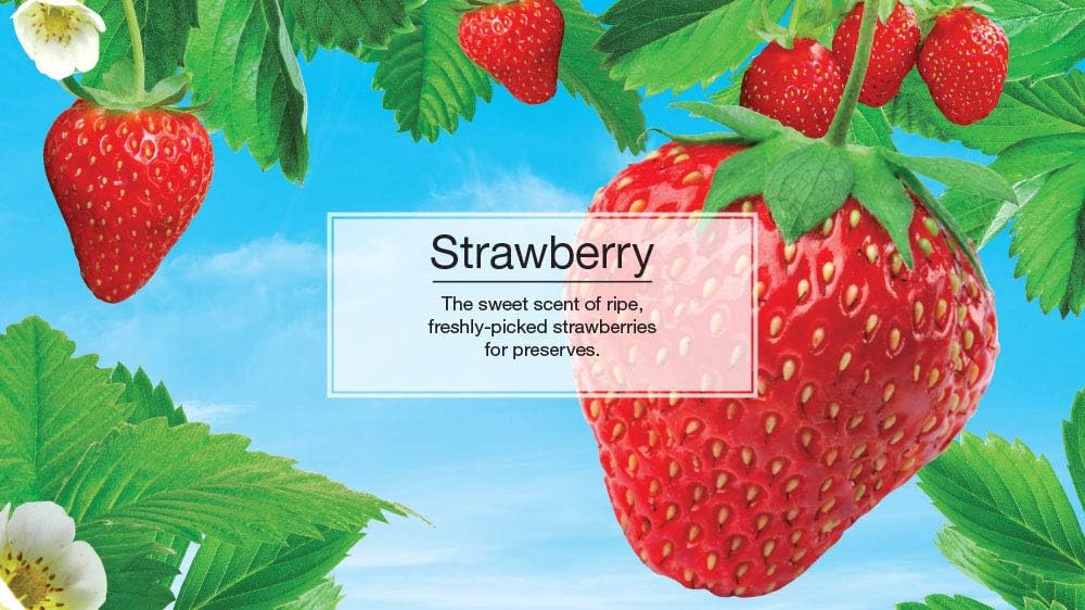 LITTLE TREES Air Fresheners Car Air Freshener. Hanging Tree Provides Long Lasting Scent for Auto or Home. Strawberry, 24 Air Fresheners