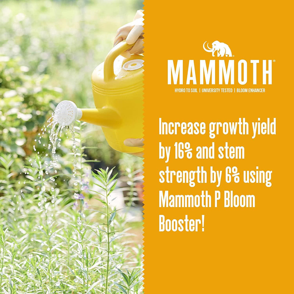 Mammoth P Bloom Booster & Enhancer - Plant Nutrients for Increased Growth & Yield (500 Milliliters)
