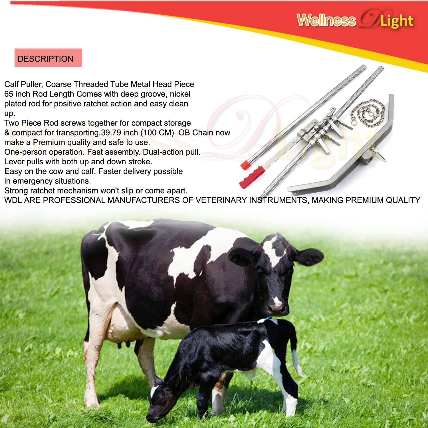 WellnessD'Light  Steel Calf Puller Calving Durable Ratchet Delivery Cattle Birthing Veterinary Instruments by WDL, Silver, 65 inches