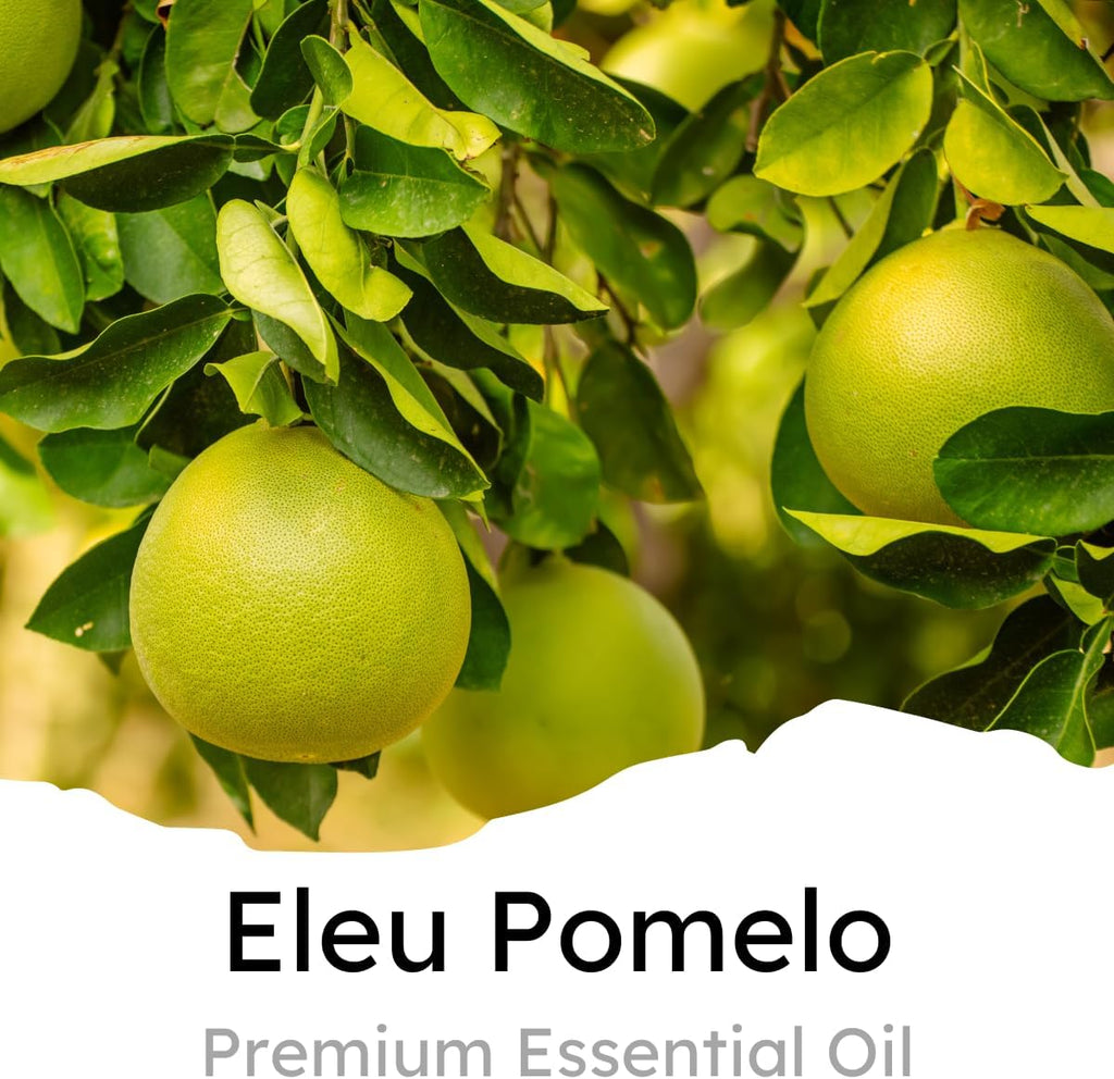Air Jungles Eleu Pomelo Scent Car Air Freshener Clip, 6 Car Freshener Vent Clips, 4ml Each, Long Lasting Air Freshener for Car, Up to 180 Days Car Refresher Odor Eliminator