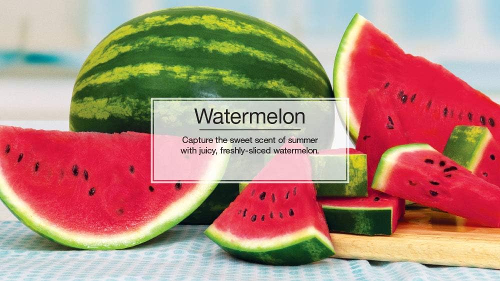 LITTLE TREES Air Fresheners Car Air Freshener. Hanging Tree Provides Long Lasting Scent for Auto or Home. Watermelon, 24 Air Fresheners