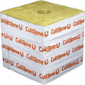 Cultilene Rockwool Blocks w/  Drain Hole, PREMIUM Rock Wool Big Block Starter Cubes for Hydroponics, Cuttings, Cloning, Plant Propagation, Seed Starting (Pack of 48, 6x6x6 Blocks)