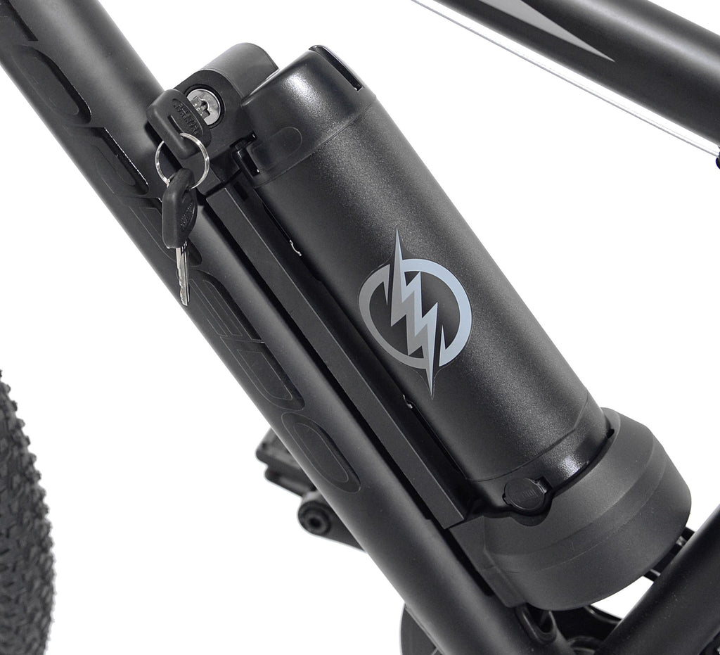 Kent 20 In. Torpedo Ebike Black/Blue