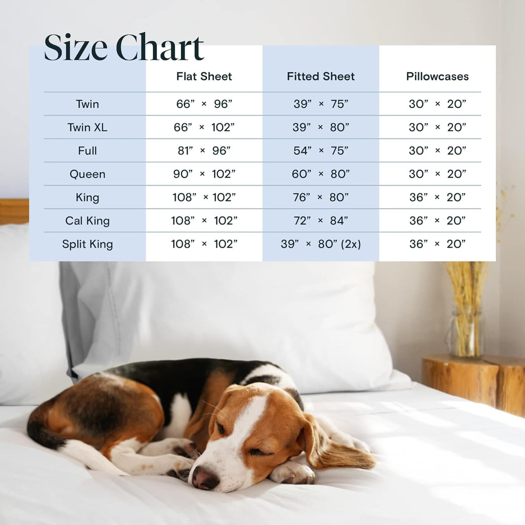 LuxClub 6 PC Queen Sheet Set, Rayon Made from Bamboo Bed Sheets, Deep Pockets 18" Eco Friendly Wrinkle Cooling Sheets Machine Washable Hotel Bedding Silky Soft - White Queen