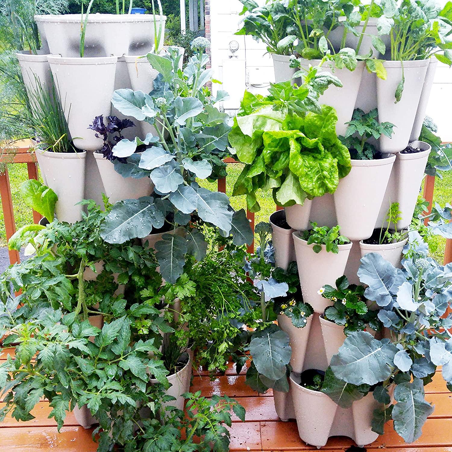GreenStalk Patented Large 5 Tier Vertical Garden Planter with Patented Internal Watering System Great for Growing a Variety of Strawberries, Vegetables, Herbs, & Flowers (Stunning Stone)